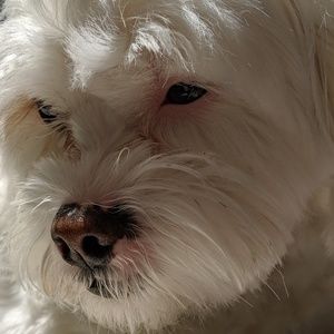 Meet your Posher, Linda